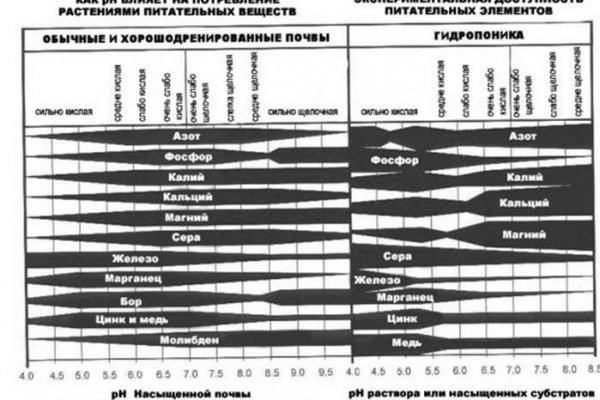 Кракен 12 сайт