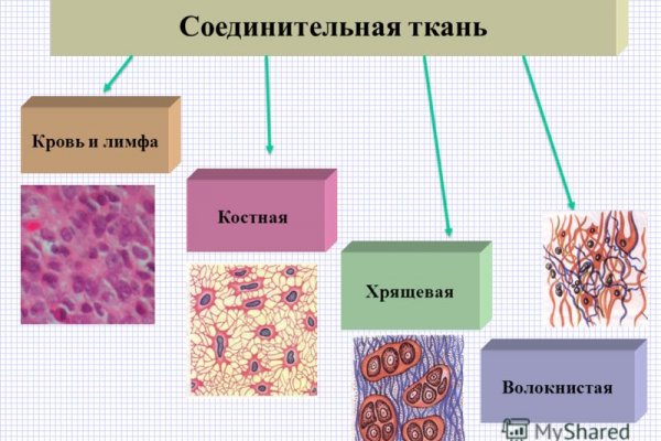 Ссылка на кракен в браузере